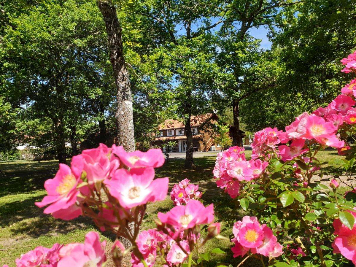 Sainte-Eulalie-en-BornLa Grange Du Born住宿加早餐旅馆 外观 照片